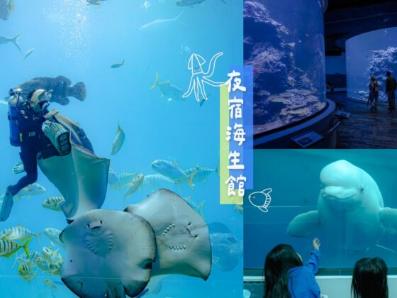 夜宿海生館