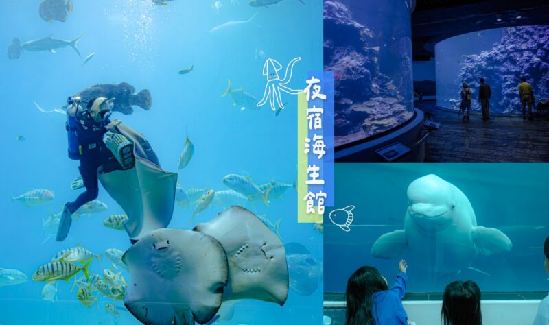 夜宿海生館