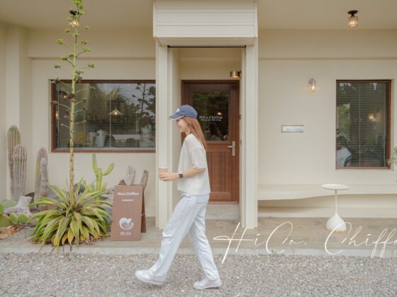 HiCo.Chiffon 海口起風